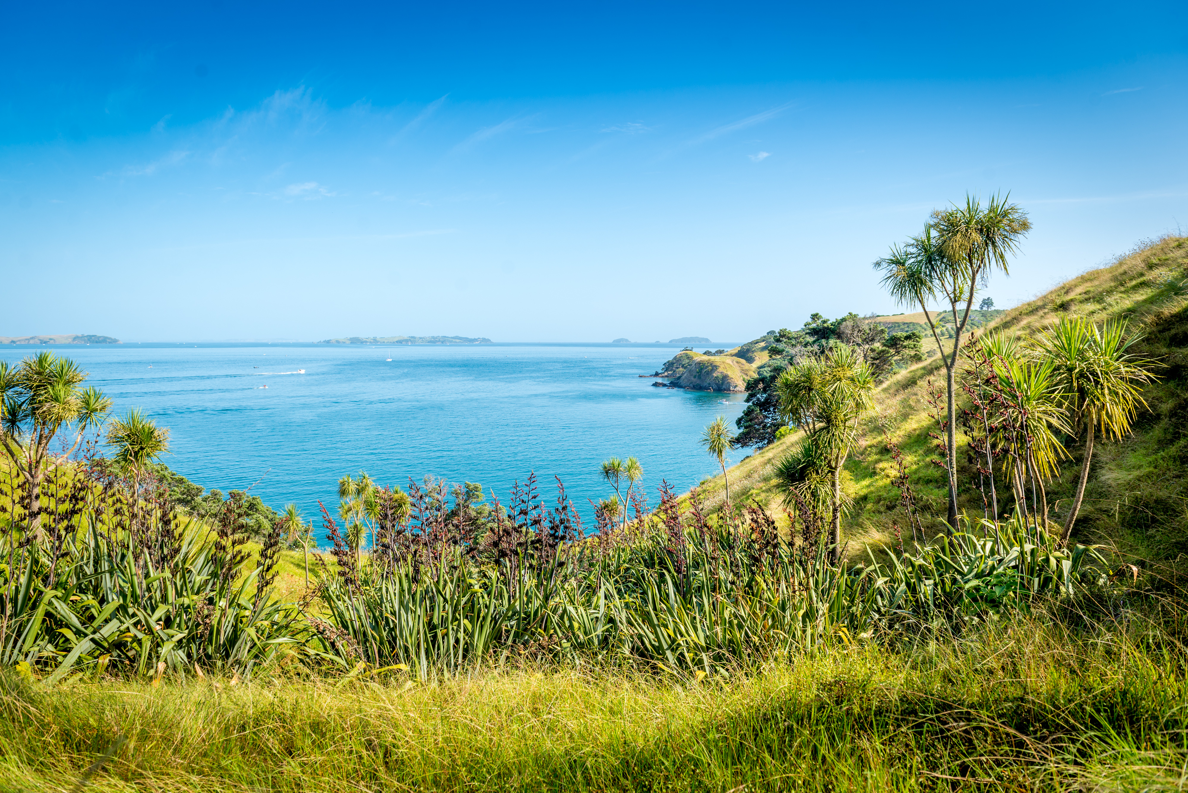 New Zealand's North Island: 11 Days in Auckland and Rotorua