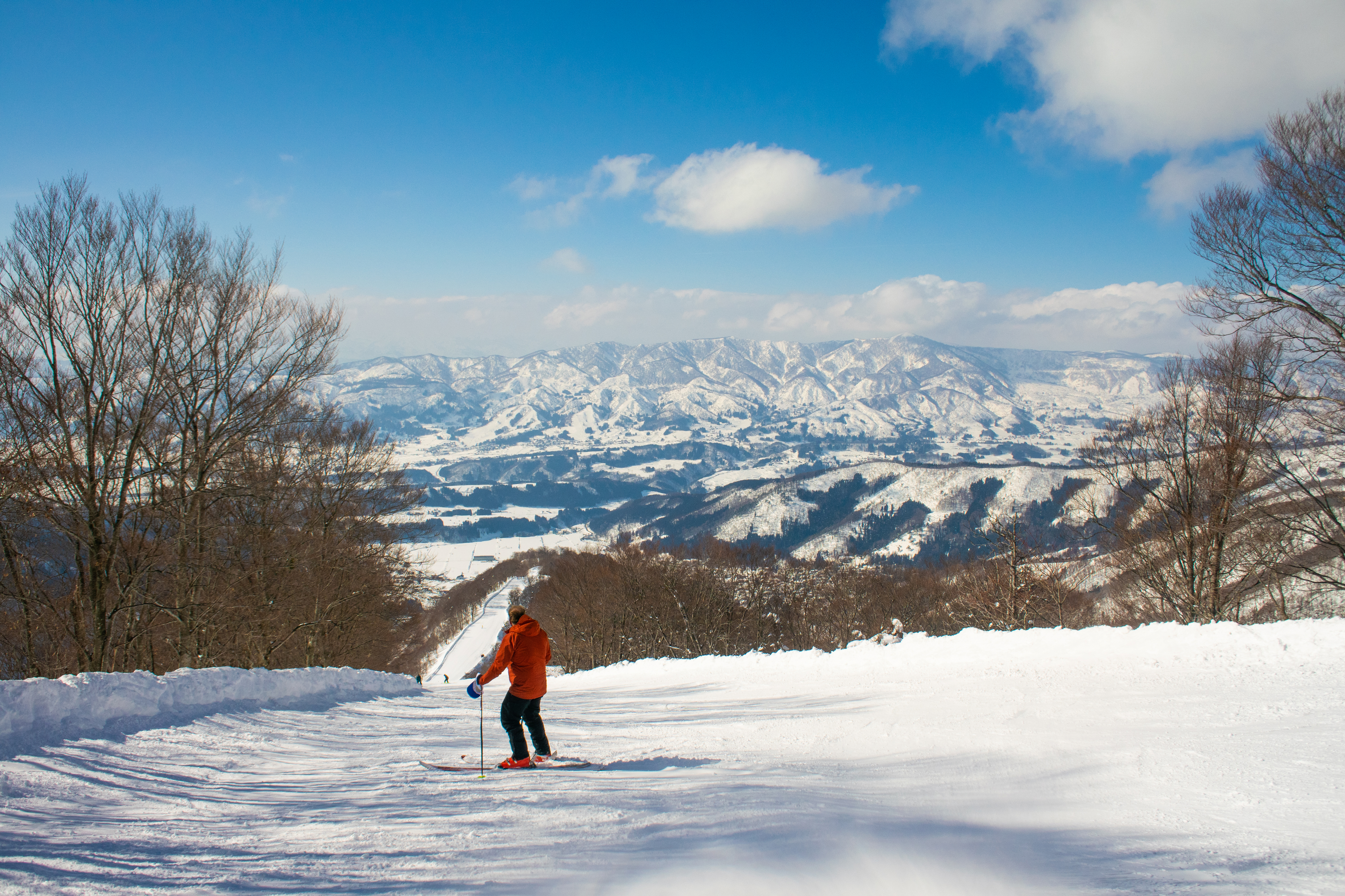 Nozawa Slopes, Nagano Temples, and Tokyo Treasures: Japanese Winter in 10 Days