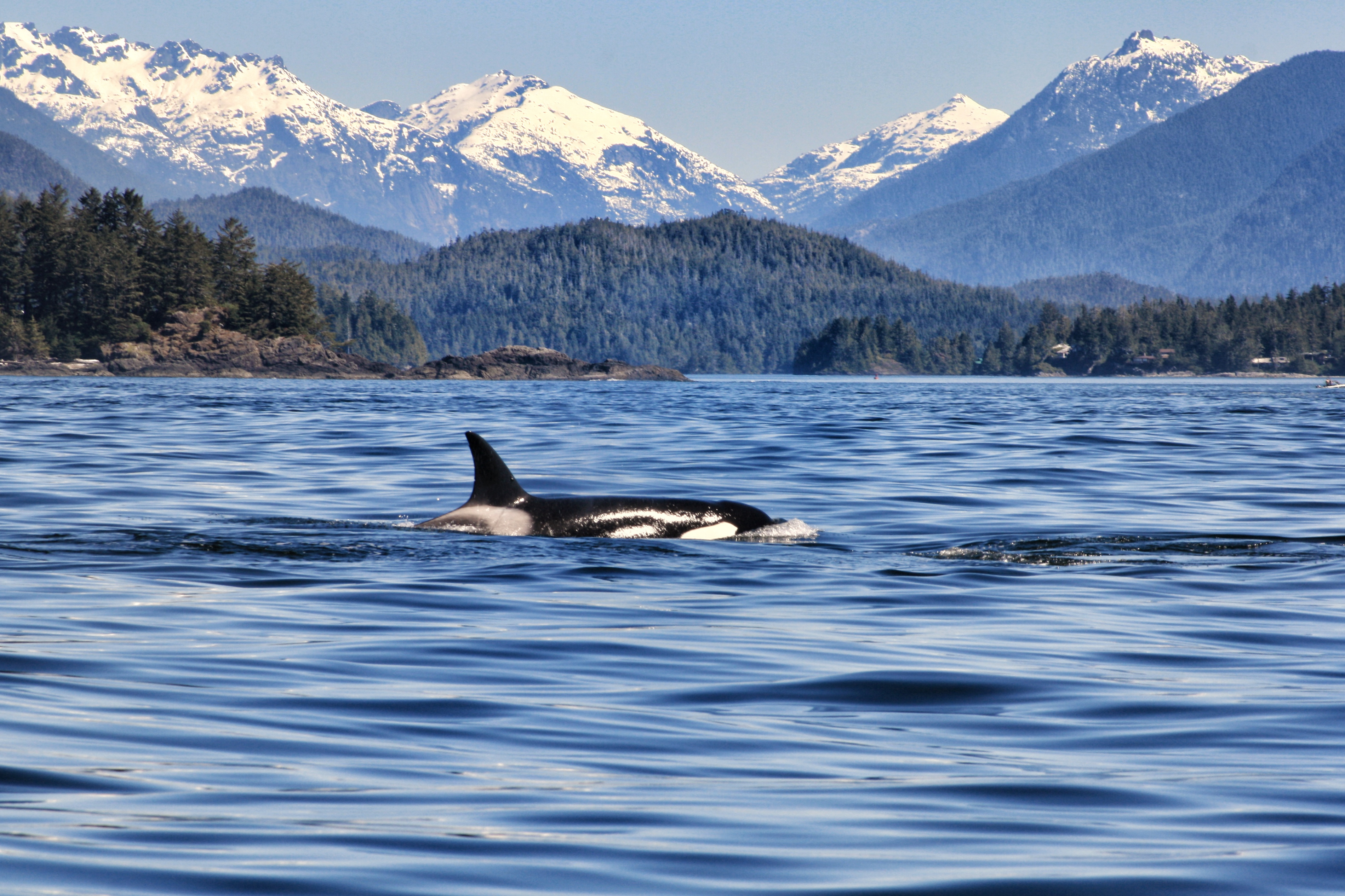 British Columbia’s Coastal Charm and Wilderness in 13 Days