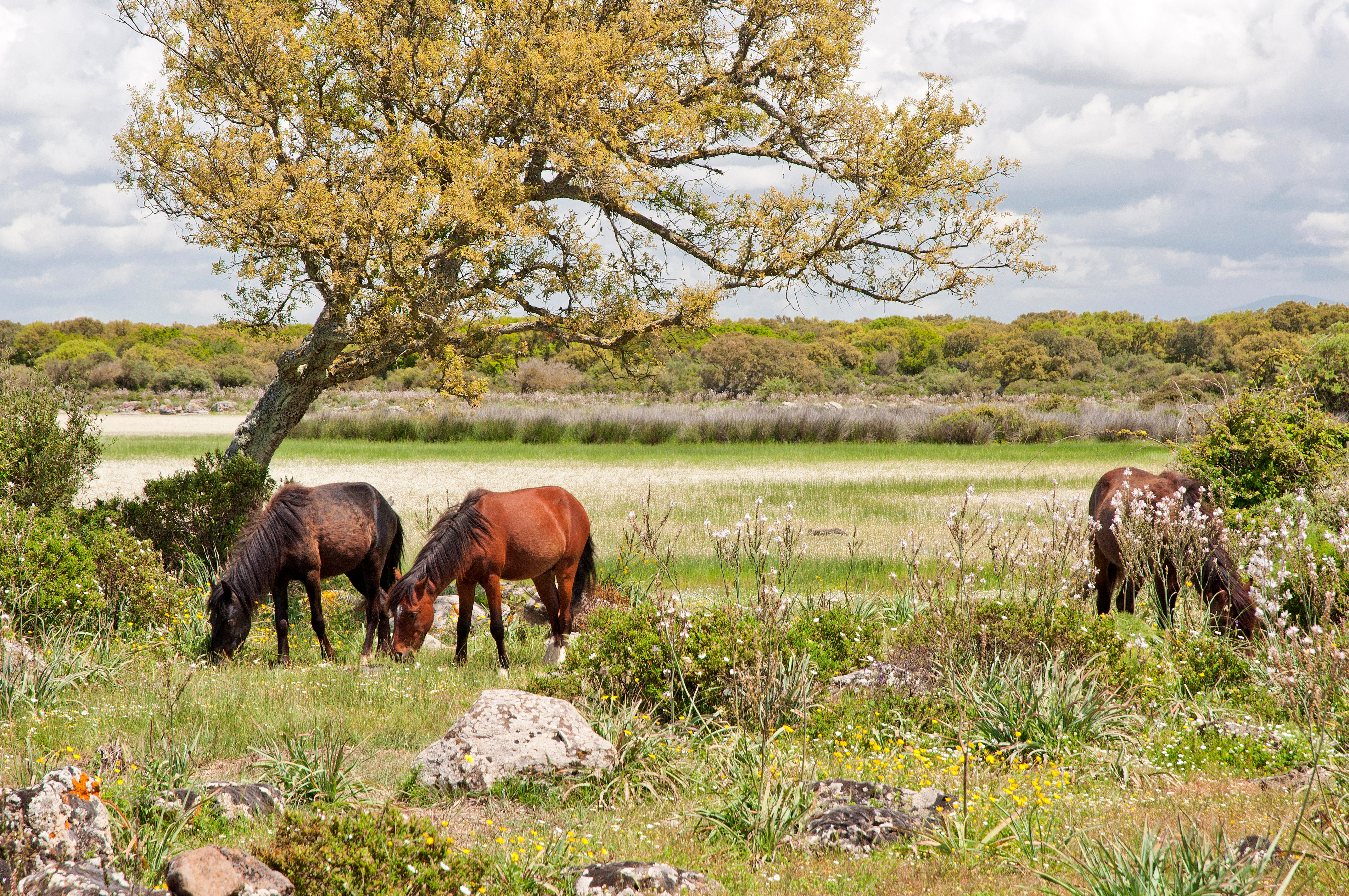Sardinia in 10 Days: Spectacular Sights and Coastlines