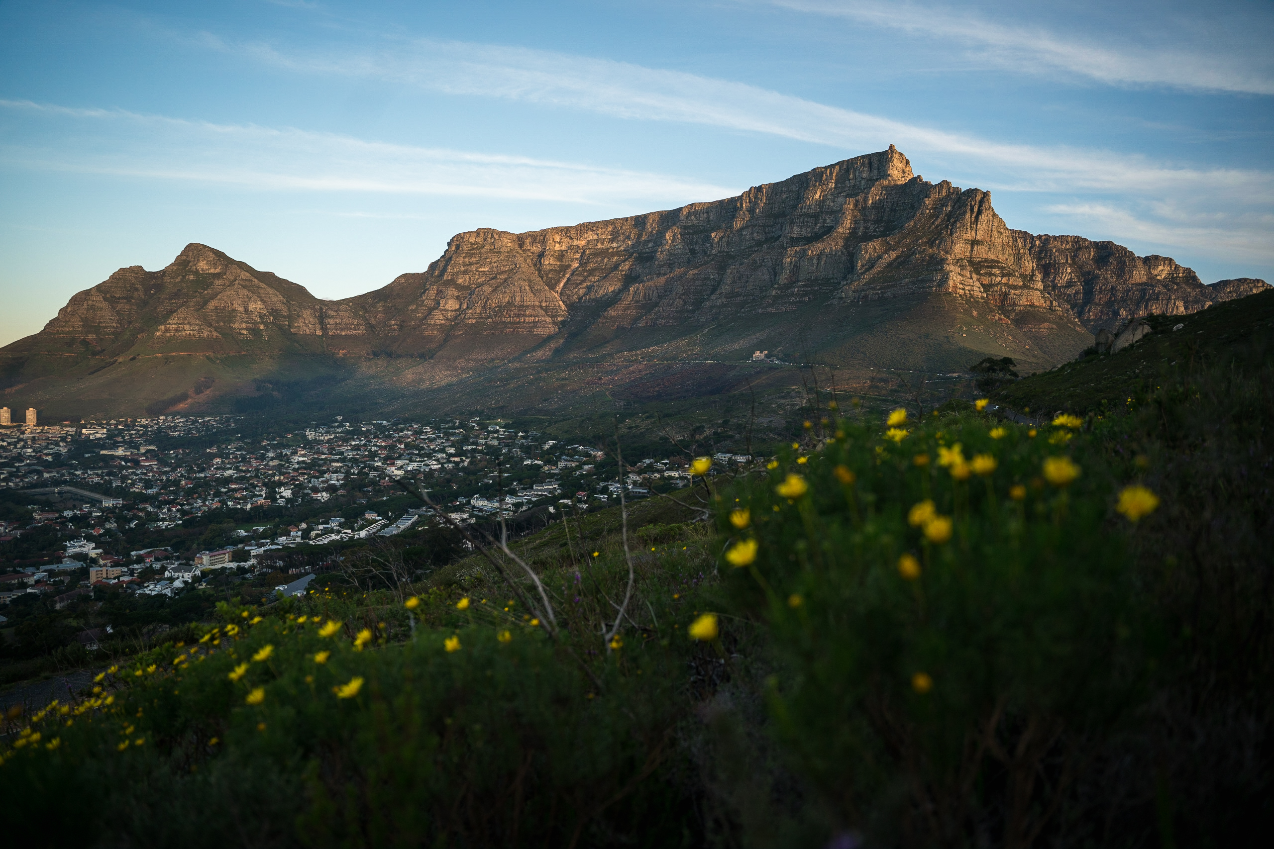 South Africa in 10 Days: Cape Town, Kruger & a Luxury Train Safari