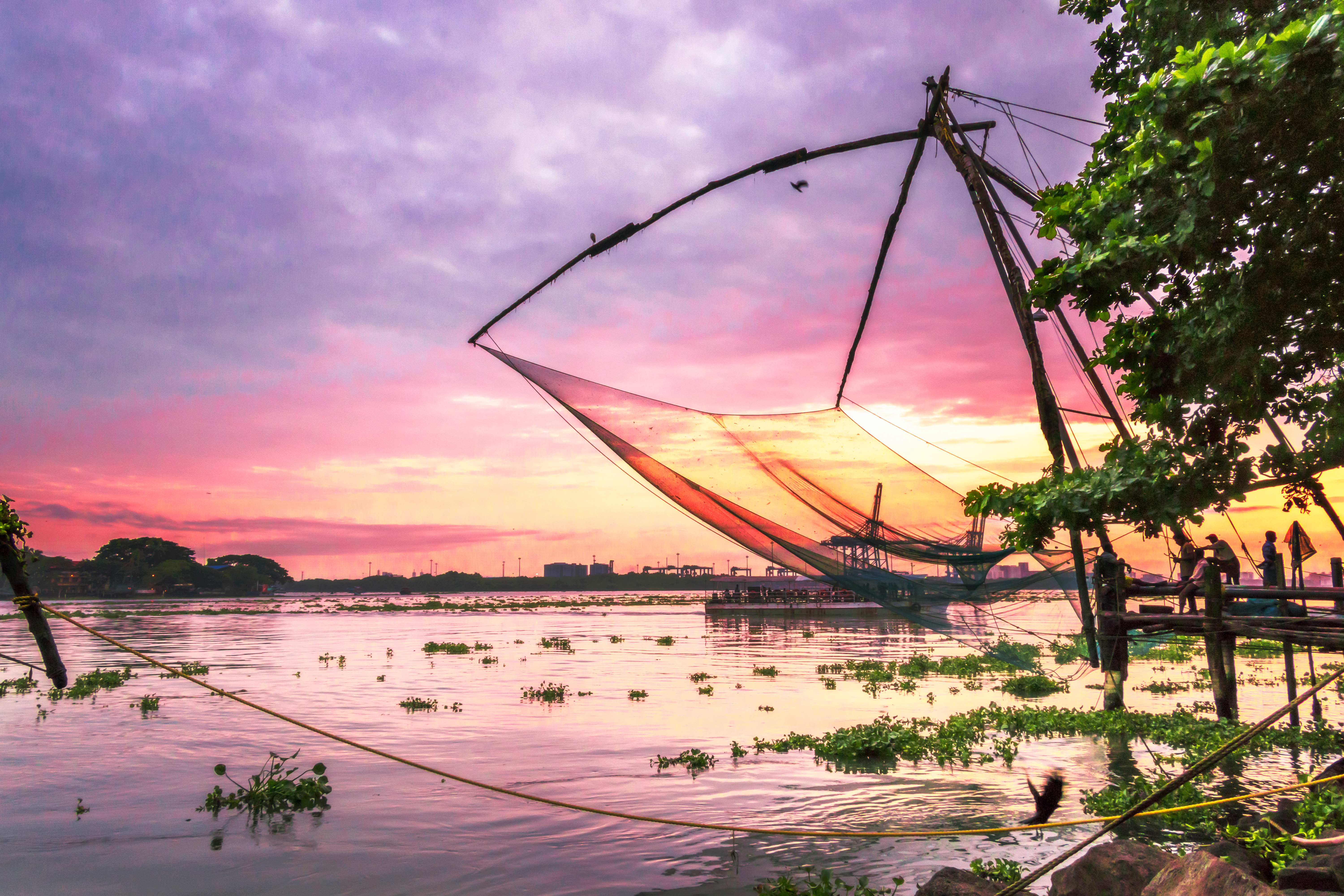 India: A 13-Day Culinary Adventure to Kerala