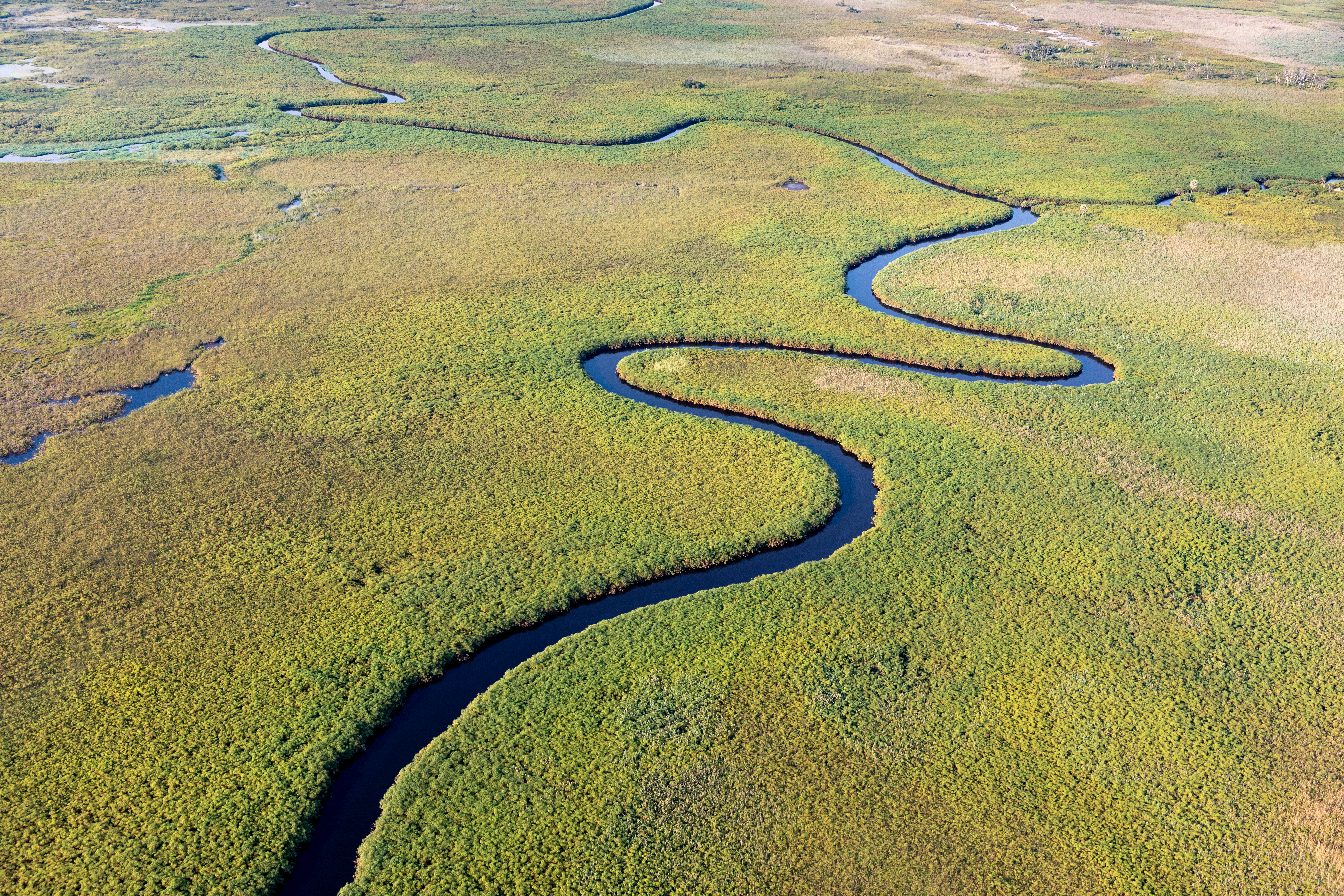 Southern Africa: 9-Day Safari in Botswana and Zimbabwe